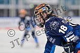 Eishockey, Frauen, DFEL, Saison 2024-2025, ERC Ingolstadt - ECDC Memmingen Indians, 16.11.2024