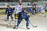 ERC Ingolstadt vs Schwenninger Wild Wings, Eishockey, DEL, Deutsche Eishockey Liga, 20.11.2015