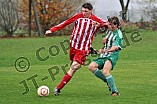 10.11.2013 - DJK Grafenberg - SG Forcheim-Sulzkirchen
