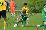 Fußball, Herren, Kreisliga 1, Saison 2023-2024, Spieltag 5, SV Lippertshofen - FC Hitzhofen-Oberzell, 03.09.2023