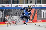 Eishockey, Frauen, DFEL, Saison 2023-2024, ERC Ingolstadt - ECDC Memmingen Indians, 07.10.2023