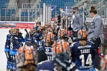 Eishockey, Frauen, DFEL, Saison 2024-2025, ERC Ingolstadt - Mad Dogs Mannheim, 23.11.2024