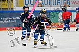 Eishockey, Saison 2025-2026, ERC Ingolstadt - Kids On Ice Day, 10.01.2026