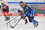 Eishockey, Frauen, DFEL, Saison 2024-2025, ERC Ingolstadt - EC Bergkamener Bären, 05.01.2025