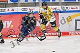 Eishockey, Frauen, DFEL, Saison 2022-2023, ERC Ingolstadt - Mad Dogs Mannheim, 20.11.2022