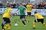 Fußball, Herren, Bezirksliga Mittelfranken Süd, Saison 2023-2024, Spieltag 17, TSV Greding - TSV Meckenhausen, 29.10.2023