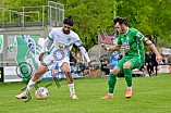 Fußball, Herren, Bayernliga Nord, Saison 2024-2025, Spieltag 31, VfB Eichstätt - TSV Neudrossenfeld, 26.04.2025