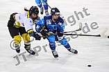 Eishockey, Frauen, DFEL, Saison 2020-2021, ERC Ingolstadt - Mad Dogs Mannheim, 30.01.2021