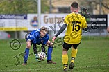 Fußball, Herren, Kreisliga West, Saison 2022-2023, Spieltag 13, DJK Pollenfeld - DJK Limes 09, 06.11.2022