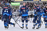Eishockey, Herren, DEL, Saison 2024-2025, Spieltag 36, ERC Ingolstadt - Kölner Haie, 12.01.2025