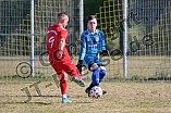 Fußball, Herren, Kreisliga West, Saison 2022-2023, Spieltag 2, DJK Pollenfeld - DJK Stopfenheim, 21.08.2022