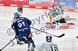 Eishockey, Herren, DEL, Saison 2024-2025, Playoffs Halbfinale, Spiel 1, ERC Ingolstadt - Kölner Haie, 02.04.2025