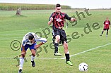 01.09.2012 - SV Ochsenfeld / 1. FC-VfL Pleinfeld