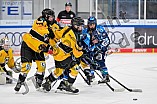 Eishockey, Frauen, DFEL, Saison 2025-2026, Spieltag 3, ERC Ingolstadt - Mad Dogs Mannheim, 27.09.2025