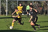 19.10.2013 - DJK Pollenfeld - DJK-SpVgg Rohr
