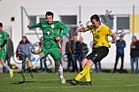 Fußball, Herren, Kreisliga West, Saison 2021-2022, Spieltag 12, DJK Pollenfeld - SV Wettelsheim, 17.10.2021