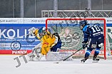 Eishockey, Frauen, DFEL, Saison 2025-2026, Testspiel, ERC Ingolstadt - HC Davos, 14.02.2026