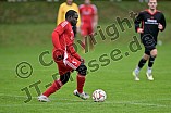 Fußball, Herren, Kreisklasse 1, Saison 2024-2025, Spieltag 5, SC Steinberg-Biberg - Türkisch SV Ingolstadt, 03.10.2024