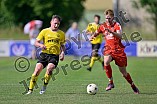 Fußball, Herren, Kreisliga West, Saison 2022-2023, Relegation, TSV 04 Feucht - DJK Pollenfeld, 17.06.2023