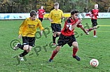 03.11.2012 - SG FC Hitzhofen-Oberzell / SG SpVgg Wolfsbuch