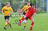 11.06.2016 - DJK Pollenfeld - SG SSV Oberhochstatt