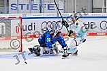 Eishockey, Herren, DEL, Saison 2025-2026, Spiel 23, ERC Ingolstadt - Dresdner Eislöwen, 28.11.2025