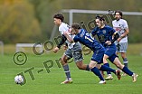 Fußball, Herren, Kreisliga Neumarkt Jura West, Saison 2025-2026, Spieltag 11, SV Marienstein - SG Dittenheim-Gnotzheim, 12.10.2025