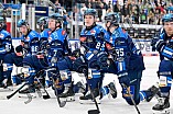 Eishockey, Herren, DEL, Saison 2025-2026, Spiel 40, ERC Ingolstadt - Straubing Tigers, 16.01.2026