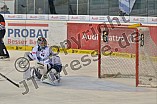 ERC Ingolstadt vs Hamburg Freezers, Eishockey, DEL, Deutsche Eishockey Liga, 05.02.2016