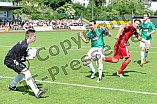 15.6.2013 - VfB Eichstätt - FC Ingolstadt