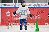 Eishockey, Herren, DEL, Saison 2024-2025, ERC Ingolstadt - Kids On Ice Day, 11.01.2025