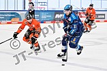 Eishockey, Herren, DEL, Saison 2025-2026, Spiel 33, ERC Ingolstadt - Grizzlys Wolfsburg, 28.12.2025