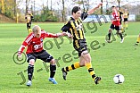 04.11.2012 - FC Hitzhofen-Oberzell / SV Stammham
