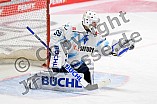 Eishockey, Herren, DEL, Saison 2020-2021, Augsburger Panther - ERC Ingolstadt, 15.01.2021