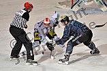 ERC Ingolstadt vs Schwenninger Wild Wings, Eishockey, DEL, Deutsche Eishockey Liga, 22.01.2016