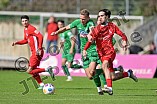 Fußball, Herren, Bayernliga Nord, Saison 2024-2025, Spieltag 13, VfB Eichstätt - ATSV Erlangen, 28.09.2024