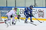 Eishockey, Frauen, DFEL, Saison 2025-2026, Playoffs Halbfinale - Spiel 2, ERC Ingolstadt - HC Davos, 01.03.2026