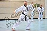 28.01.2013 - PSV Eichstätt (Teakwondo Training)