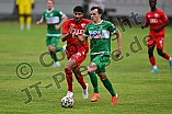 Fußball, Herren, Vorbereitung, Saison 2022-2023, FC Ingolstadt 04 II - VfB Eichstätt, 09.07.2022