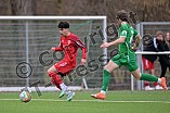 Fußball, Herren, Bayernliga Nord, Saison 2023-2024, Vorbereitung, VfB Eichstätt - TSV Kornburg, 17.02.2024
