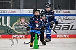 Eishockey, Herren, DEL, Saison 2024-2025, ERC Ingolstadt - Kids On Ice Day, 11.01.2025