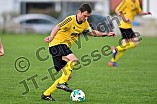 22.04.2018 - DJK Pollenfeld - TSV Heideck