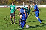 20.11.2016 - DJK Ingolstadt - SV Karlshuld