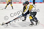 Eishockey, Frauen, DFEL, Saison 2022-2023, ERC Ingolstadt - Mad Dogs Mannheim, 19.11.2022