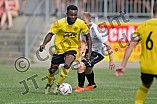 Fußball, Herren, Kreisklasse Neumarkt Jura Süd, Saison 2023-2024, Spieltag 6, DJK Pollenfeld - TSV Heideck II, 17.09.2023