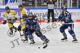 Eishockey, Frauen, DFEL, Saison 2021-2022, ERC Ingolstadt - Mad Dogs Mannheim, 23.10.2021