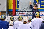 ERC Ingolstadt, Eishockey, DEL, Deutsche Eishockey Liga, 10.11.2017