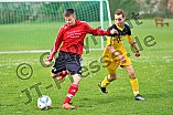 06.04.2014 - DJK Pollenfeld - VfL Treuchtlingen