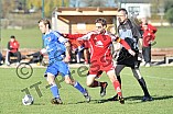 14.11.2010 - DJK Limes 09 / TV Eckersmühlen