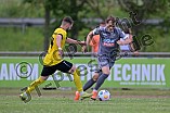 Fußball, Herren, Bayernliga Nord, Saison 2024-2025, Vorbereitung, VfB Eichstätt - TSV Gersthofen, 22.06.2024
